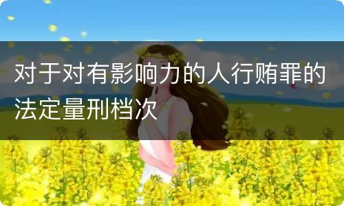 对于对有影响力的人行贿罪的法定量刑档次