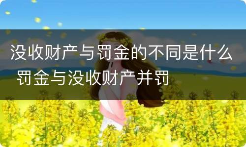 没收财产与罚金的不同是什么 罚金与没收财产并罚