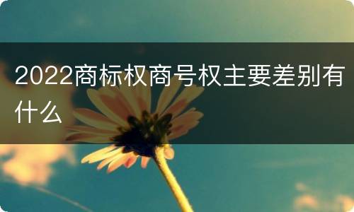 2022商标权商号权主要差别有什么