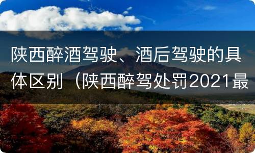 陕西醉酒驾驶、酒后驾驶的具体区别（陕西醉驾处罚2021最新标准）
