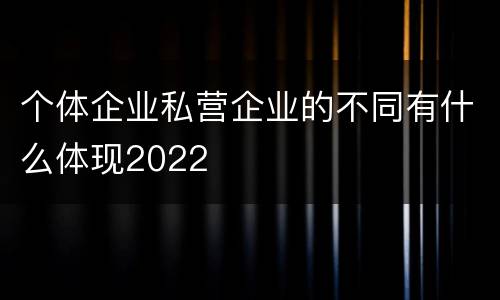 个体企业私营企业的不同有什么体现2022