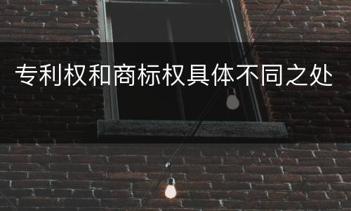 专利权和商标权具体不同之处