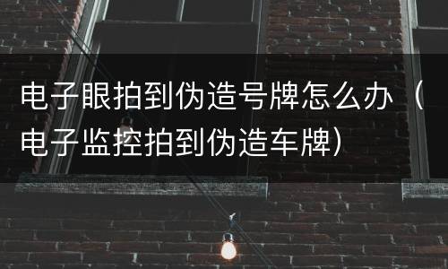 电子眼拍到伪造号牌怎么办（电子监控拍到伪造车牌）