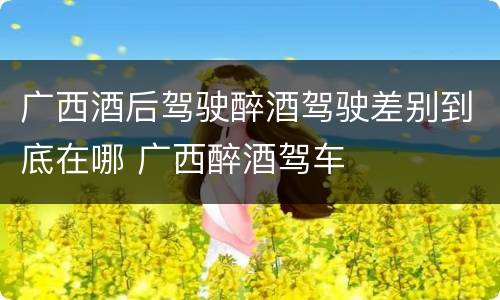 广西酒后驾驶醉酒驾驶差别到底在哪 广西醉酒驾车