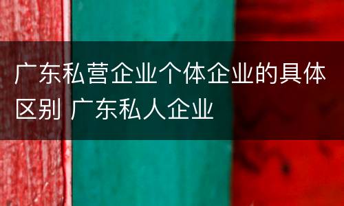 广东私营企业个体企业的具体区别 广东私人企业