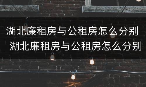 湖北廉租房与公租房怎么分别 湖北廉租房与公租房怎么分别的