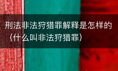 刑法非法狩猎罪解释是怎样的（什么叫非法狩猎罪）