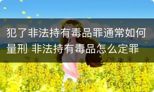 犯了非法持有毒品罪通常如何量刑 非法持有毒品怎么定罪