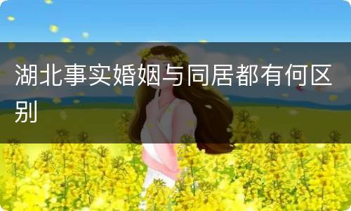 湖北事实婚姻与同居都有何区别