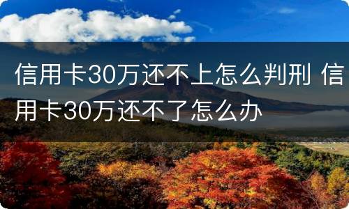 信用卡30万还不上怎么判刑 信用卡30万还不了怎么办