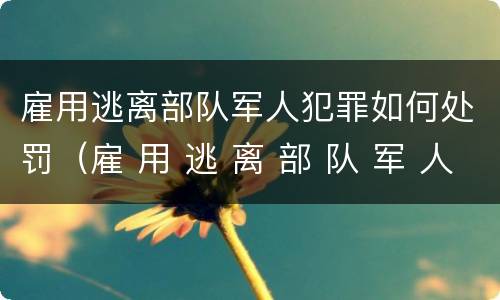 雇用逃离部队军人犯罪如何处罚（雇 用 逃 离 部 队 军 人 罪）