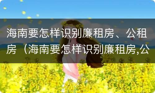 海南要怎样识别廉租房、公租房（海南要怎样识别廉租房,公租房呢）