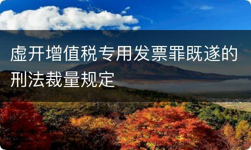 虚开增值税专用发票罪既遂的刑法裁量规定