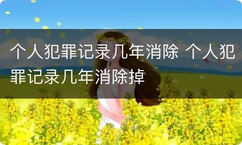 个人犯罪记录几年消除 个人犯罪记录几年消除掉