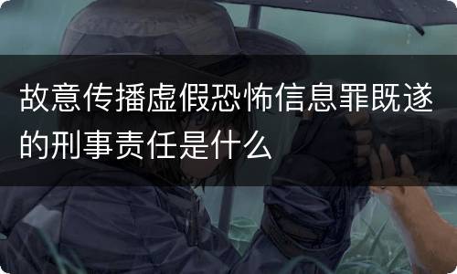 故意传播虚假恐怖信息罪既遂的刑事责任是什么