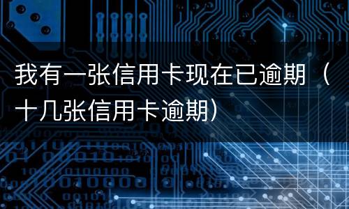 我有一张信用卡现在已逾期（十几张信用卡逾期）