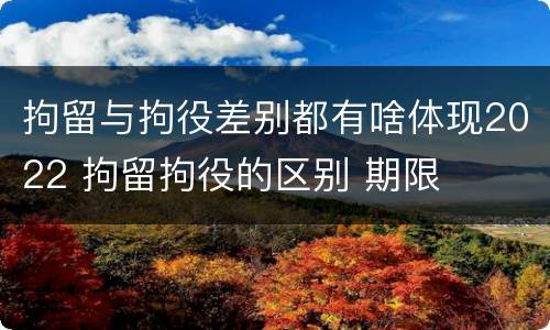 拘留与拘役差别都有啥体现2022 拘留拘役的区别 期限