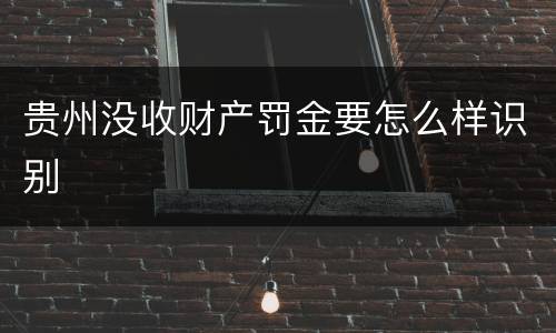 贵州没收财产罚金要怎么样识别