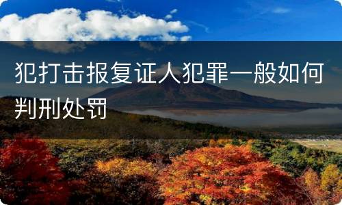 犯打击报复证人犯罪一般如何判刑处罚