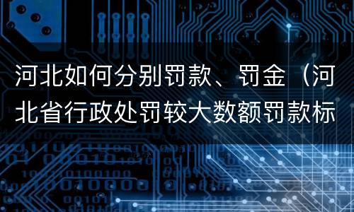 河北如何分别罚款、罚金（河北省行政处罚较大数额罚款标准）