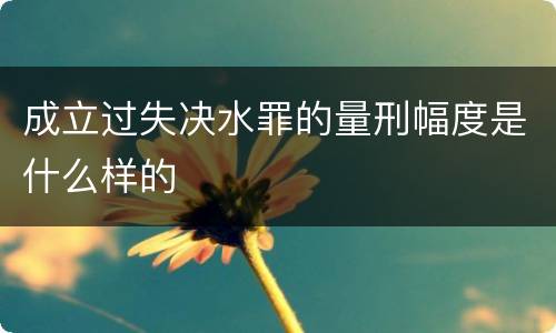 成立过失决水罪的量刑幅度是什么样的