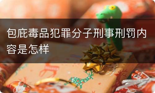 包庇毒品犯罪分子刑事刑罚内容是怎样