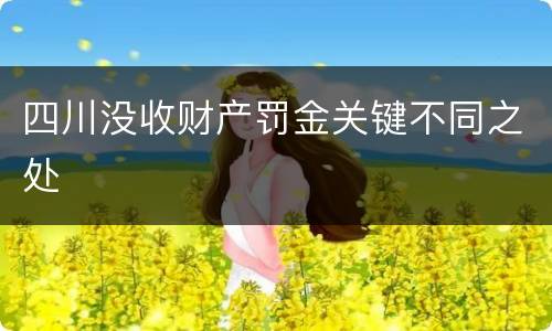 四川没收财产罚金关键不同之处