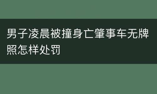 男子凌晨被撞身亡肇事车无牌照怎样处罚
