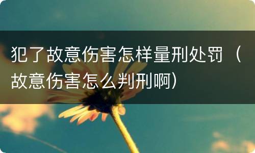 犯了故意伤害怎样量刑处罚（故意伤害怎么判刑啊）