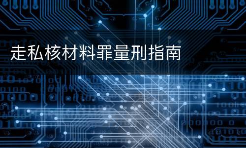 走私核材料罪量刑指南
