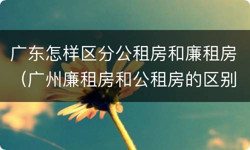 广东怎样区分公租房和廉租房（广州廉租房和公租房的区别）
