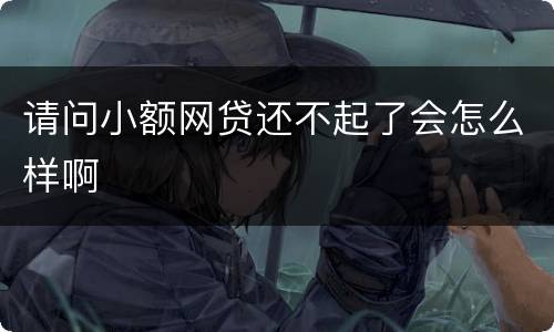 请问小额网贷还不起了会怎么样啊