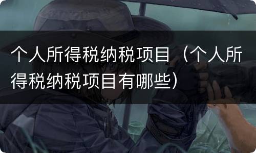 个人所得税纳税项目（个人所得税纳税项目有哪些）