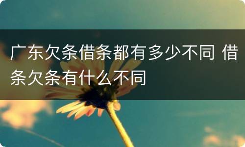 广东欠条借条都有多少不同 借条欠条有什么不同