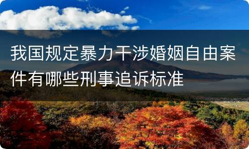 我国规定暴力干涉婚姻自由案件有哪些刑事追诉标准