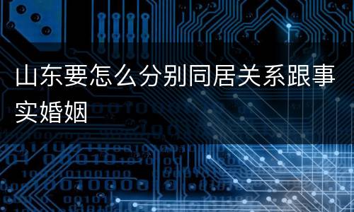 山东要怎么分别同居关系跟事实婚姻