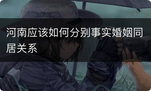 河南应该如何分别事实婚姻同居关系