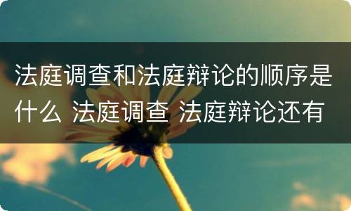 法庭调查和法庭辩论的顺序是什么 法庭调查 法庭辩论还有什么程序