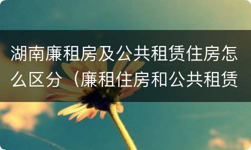 湖南廉租房及公共租赁住房怎么区分（廉租住房和公共租赁住房的区别）