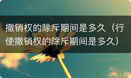 撤销权的除斥期间是多久（行使撤销权的除斥期间是多久）