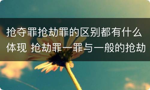 抢夺罪抢劫罪的区别都有什么体现 抢劫罪一罪与一般的抢劫罪区别