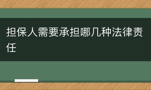 担保人需要承担哪几种法律责任