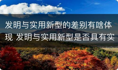 发明与实用新型的差别有啥体现 发明与实用新型是否具有实用性