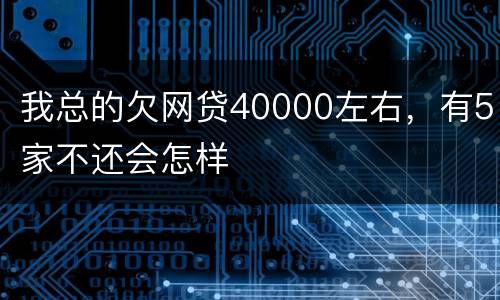 我总的欠网贷40000左右，有5家不还会怎样