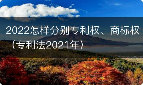 2022怎样分别专利权、商标权（专利法2021年）