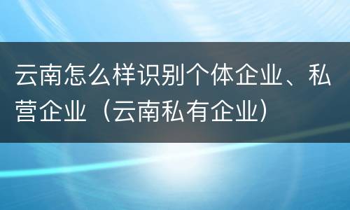 云南怎么样识别个体企业、私营企业（云南私有企业）