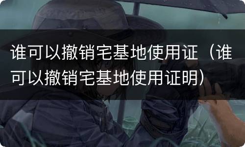谁可以撤销宅基地使用证（谁可以撤销宅基地使用证明）