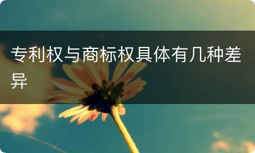 专利权与商标权具体有几种差异