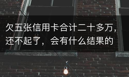 欠五张信用卡合计二十多万，还不起了，会有什么结果的