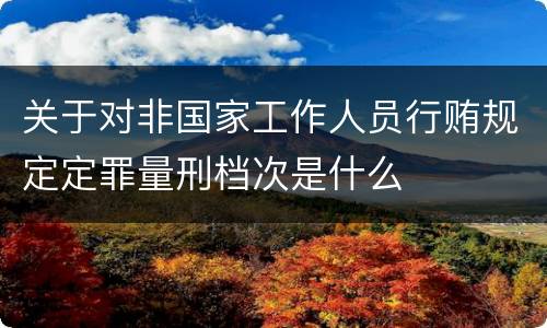 关于对非国家工作人员行贿规定定罪量刑档次是什么